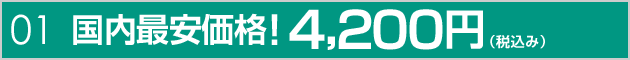 国内最安価格!4,200円(税込み)